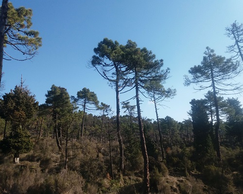 Parco di Galceti